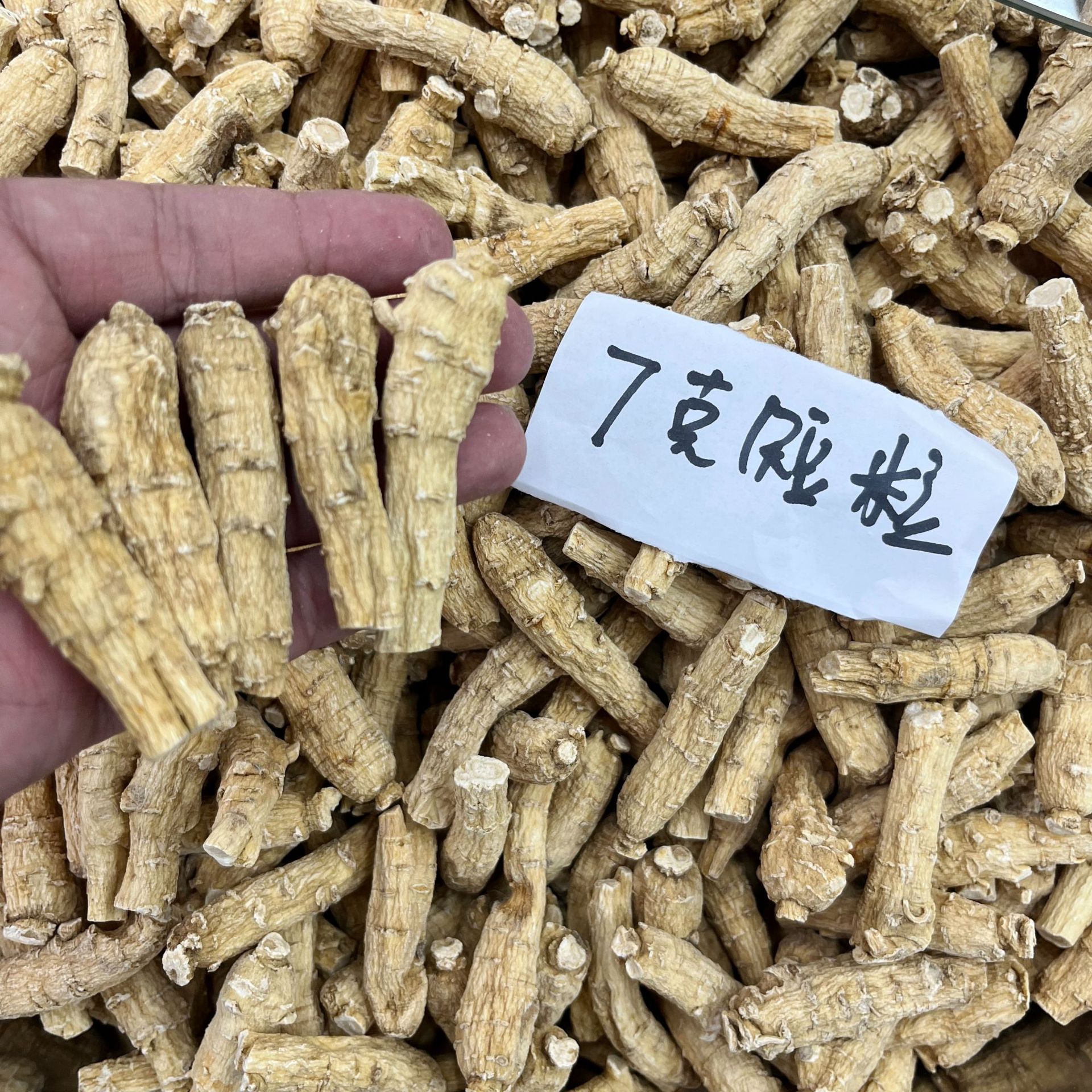 American Ginseng Root Heads (Panax quinquefolius) — Whole Xi Yang Shen Pieces for Tea & Soup key features