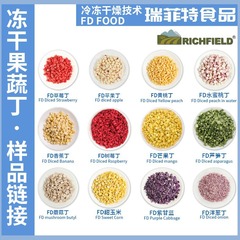 瑞菲特食品 フリーズドライフルーツと野菜のキューブ、乾燥フルーツと野菜、ペット用スナック、フルーツティー、製菓材料、かぼちゃ