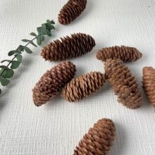 �ɼ����޹�U�㱭�����ɹ��ɻ��}�Q�b�DIY�Ĕz������Ȼ�ֹ��M��