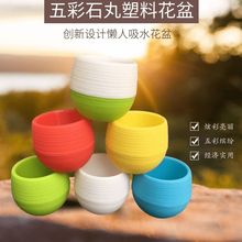 ����ֲ��û���ʺ�ʯ�軨�脓��A��������ˮ���˻���һ�����l