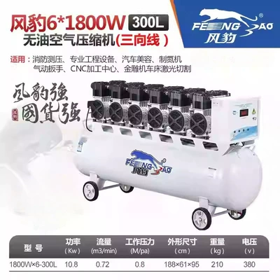 Compressor 380V Oil-Free Silent, Hava kompressorları - 61800-280l-380v