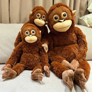 �ɐ۴����ɹ���ë�q����L�ۺ��Ӱ�������촰����ż��ͯ������