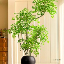 ֲپGֲb҃Ըп͏dpݼٻ