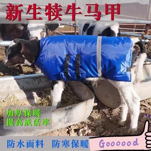 С��ţ�R���R�A�Ӻ�ţ�����R������Сţ��ů��������������ˮ��