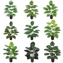 Gֲ̖~G~WLֲٻԼҾb羳l