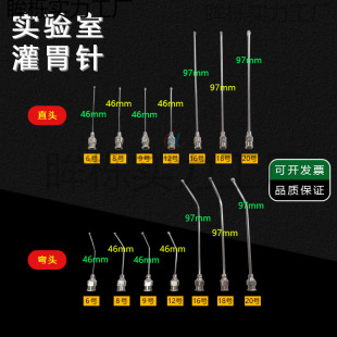 Experimental Surgical Gastric Irrigator Mouse Gastric Irrigation Needle Laboratory Rat Stainless Steel Gastric Irrigator Feeding Medicine