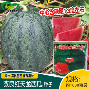 �r������t�������ϷN�� �r��ˈ@�Nֲ�s���߿��ز�t����������