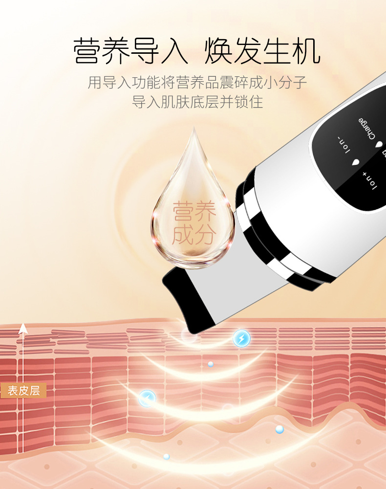 12导入 - 副本.jpg