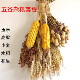 农作物干玉米棒装饰农家乐挂件辣椒串五谷杂粮摆件丰收节五谷丰登