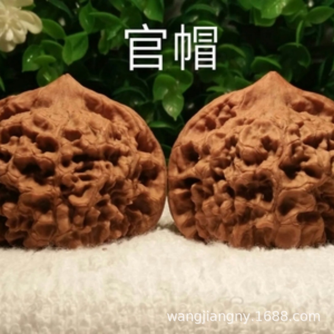 巨早薄皮8518核桃苗嫁接纸皮核桃南北方种植庭院盆栽地栽当年结果