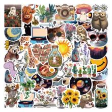 50���羳��ͨ���c�R��2�T�f�N���ɷ�ˮdiy��ӛ�֎����������b��N