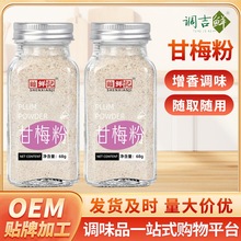 甘梅粉梅子粉鸡排地瓜条薯条炸鸡撒粉复合调味料瓶装甘梅撒料