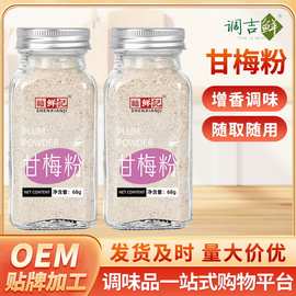 甘梅粉梅子粉鸡排地瓜条薯条炸鸡撒粉复合调味料甘梅撒料瓶装
