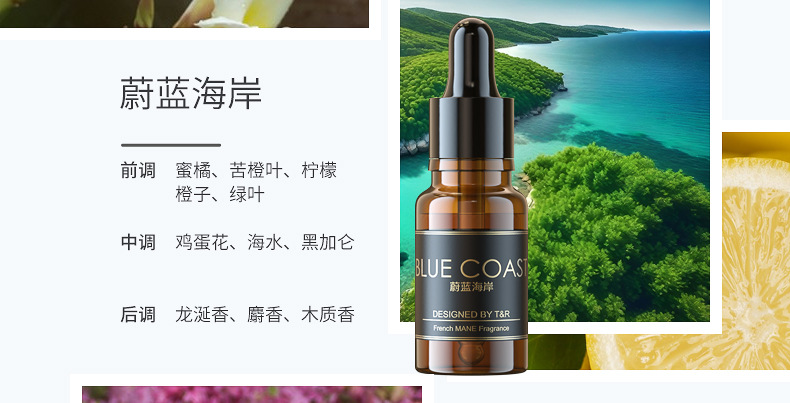 Car Perfume Indoor Car Aromatherapy Refill Liquid Household Essential Oil Cologne Ocean Flower Removal Odor Long-Lasting Light Fragrance