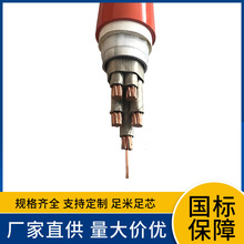 NG-A(BTGGY)/NG-A(BTLY) �~�X�o�׸��x�����ԵV���|�^��������|