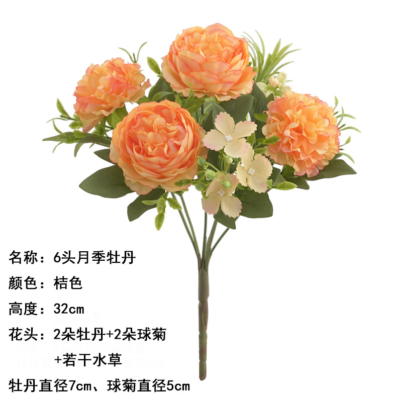 6 장미 모란 오렌지