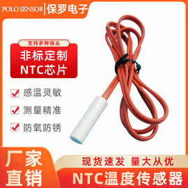 厂家定制NTC温度传感器 头热敏电阻冰箱空调冰柜测温感温温度探头