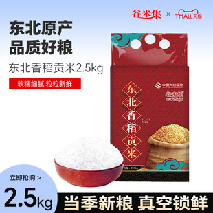 �|���㵾ؕ��5��|����������b2025���|����ܛŴ�����S�����l