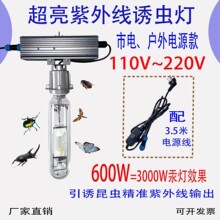 ���ճ滧�������������ճ�����׹���ʼ׳�ɶ���֪���ճ��