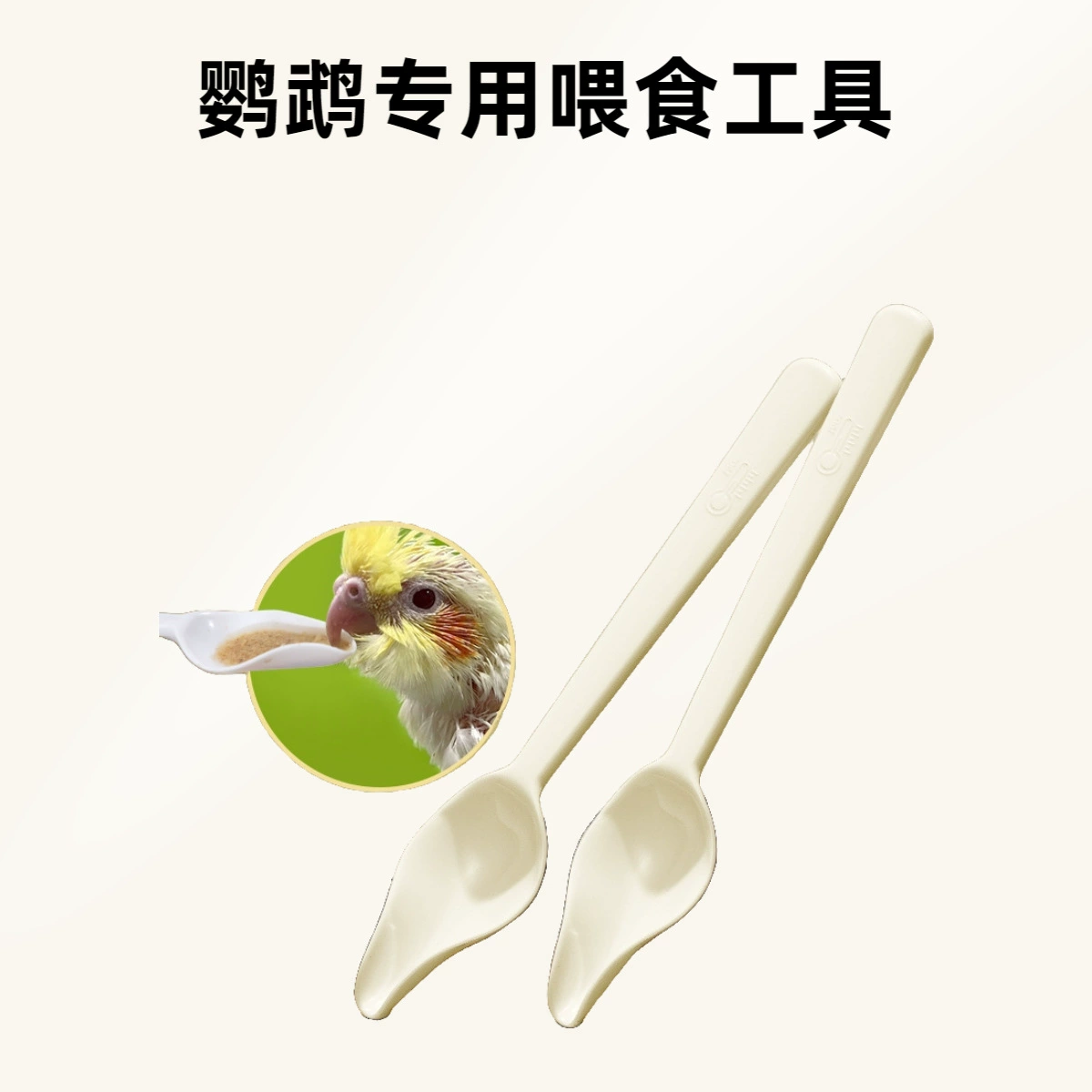 Скворец для разведения птиц