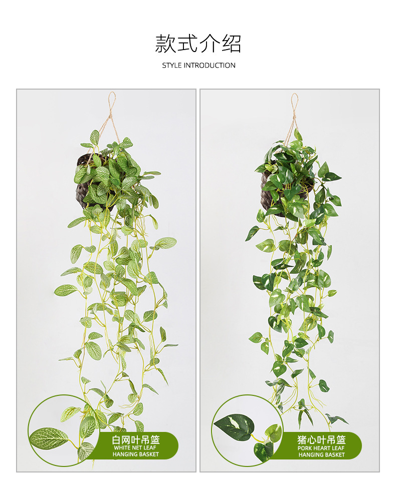 O1CN01Fkk6Pe1zidKGFBskQ_!!2159