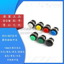 R13-507���I�_�P 16mm�A�Οo�i�ԏ�λ�_�P���o�_�P�c���_�P