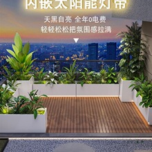 ���ⶨ �Ʋ��P䓻��������Fˇ�����̨�̈�����ͥԺ�����ۘǲ��M