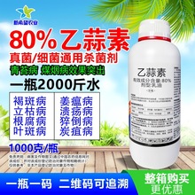 80%���������������������ή����ݲ��߲�ș����̦���rș������