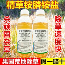 �����@��@�}�����׳��݄����@�ֲ�@ţ���С�w����ݠ������rș