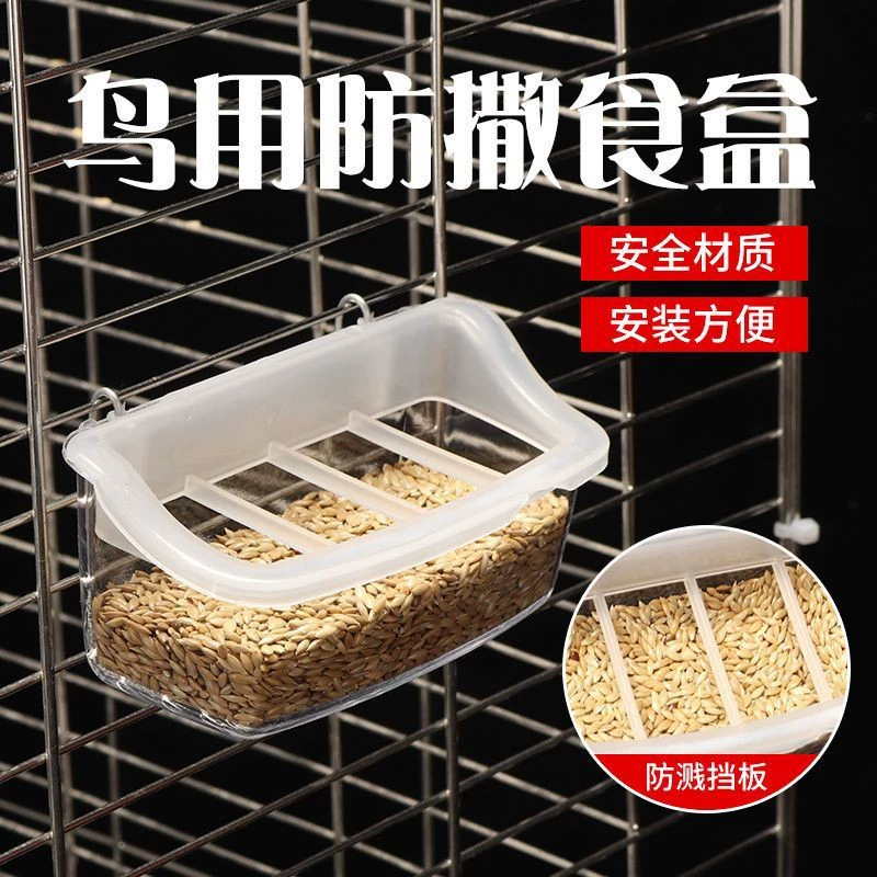 Пионовый попугай из тигровой шкуры