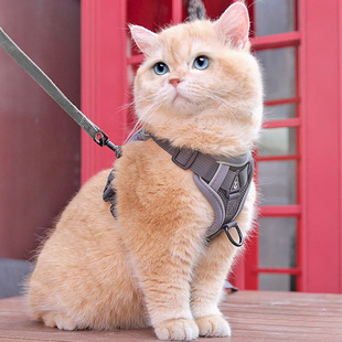 Pet Cat Leash Cute Vest Chest Strap Outgoing Anti-break-free Adjustable Cat Leash Dog Chest Back
