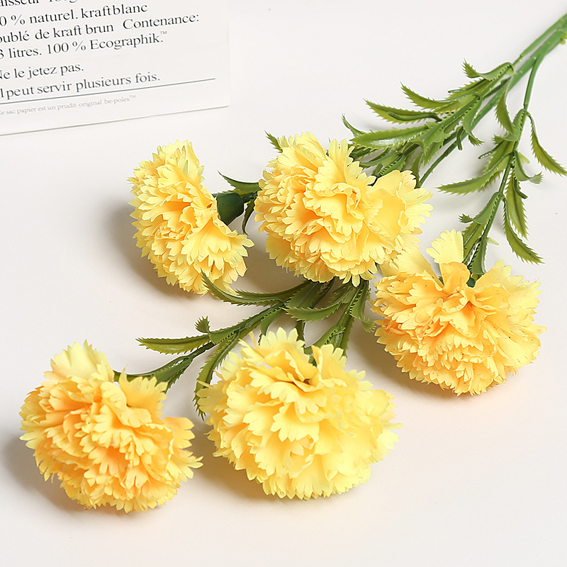 노란색 5개 카네이션