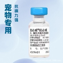 进口英特威犬猫狂犬疫苗猫咪狗狗狂犬育苗宠物 猫狗用狂犬疫苗1针