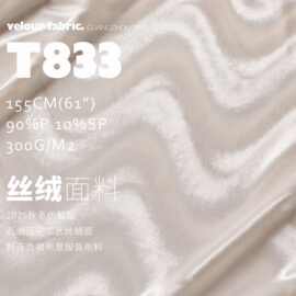 2025秋冬仿醋酸石磨压花工艺丝绒面料连衣裙布景服装布料T833