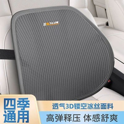 Seat Backrest with Optional Logo: Waist support