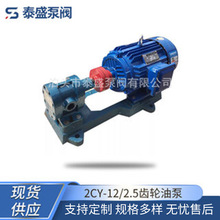 Sҹ̩ʢ2CY-12/2.5X݆ͱòPX݆ 늄Һw