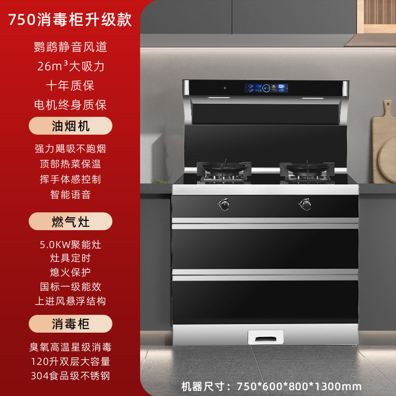 750 소독 캐비닛 업그레이드 - 파이프 천연가스 + 좌우 연기 배출 [ 공동보증]