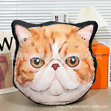 萌宠猫狗异形抱枕宠物卡通表情包靠垫DIY创意仿真毛绒动物靠枕