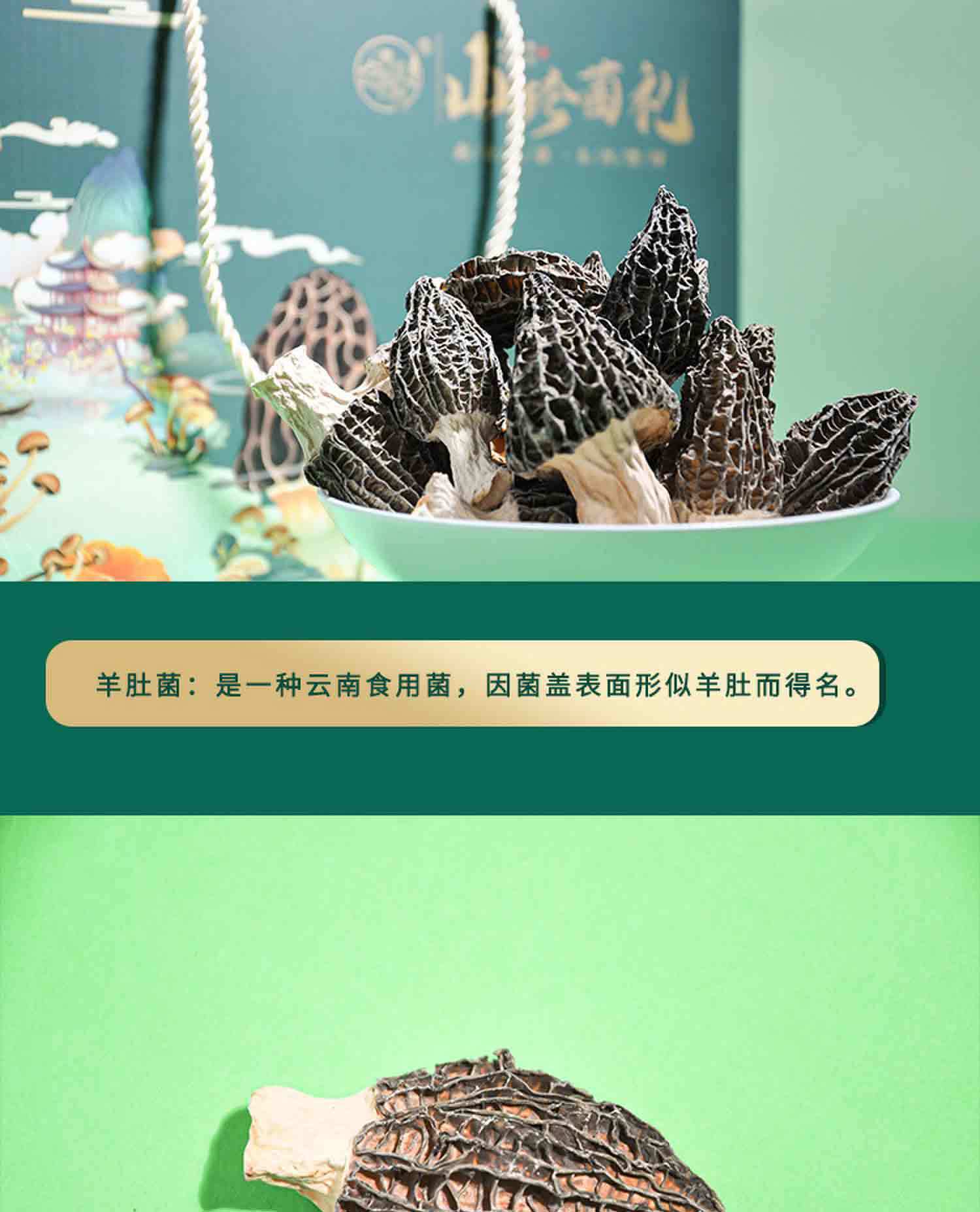 Yunnan Wild Mushroom Gift Box Dried Morel and Chanterelle Soup Pack 355g Nine Mushroom Assortment quality and texture