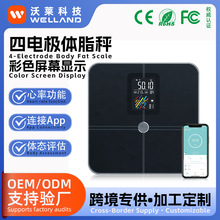 ��늘O�w֬�Ӝp֬����VA�����w�سӿ羳�����w֬�Ӹ߼������w�Q