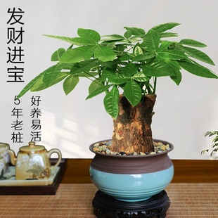 �lؔ��͏d���������Ϙ��֗U��ؔ����լ�辰�k���҃�����Gֲ����