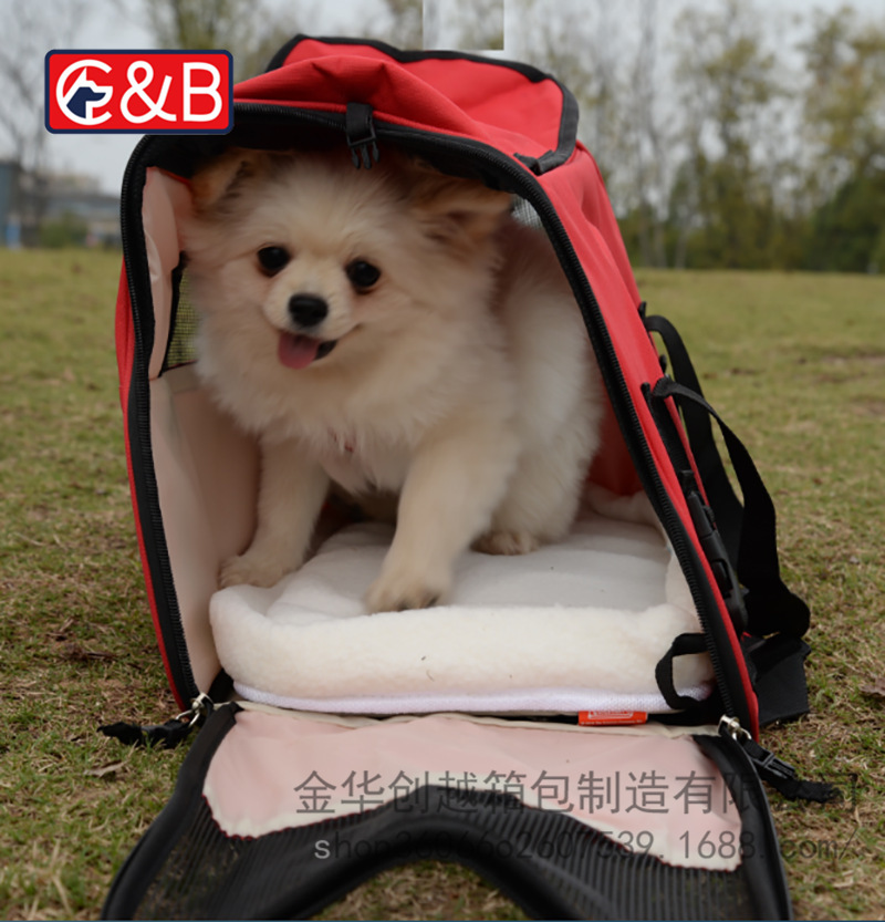 10392370141_560751701