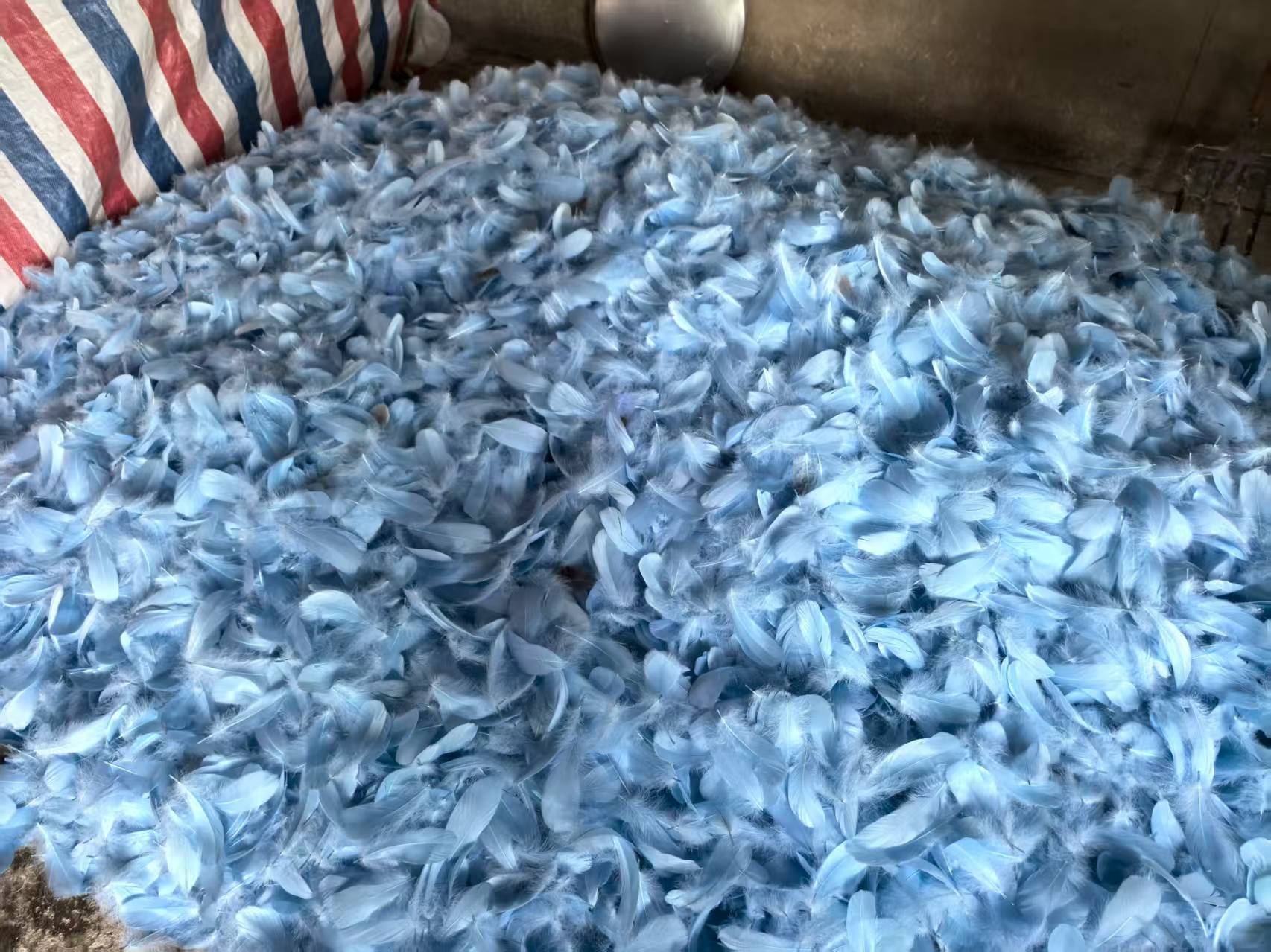 微信图片_20250920163015_23_54