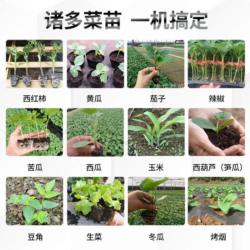 苗植え・野菜植え道具、全自動唐辛子移植・タバコ植え付け機、トウモロコシ植え付け機、植え付けツリー農具|undefined