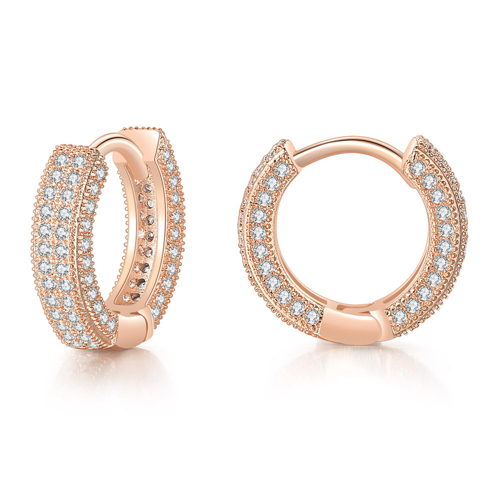 Fashion Circle Copper Inlay Zircon Earrings 1 Pair display picture 9