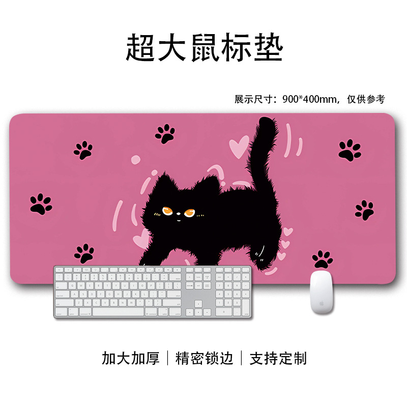 귀여운 고양이 41