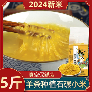 ꄱ���֬�SС��2024������5������r���خa��ŴС�S��С����1��