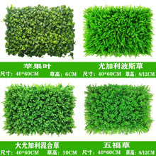 ֲﱳbªڳ̨GnϼٲƺO