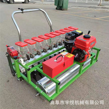 ����ʽ�๦�ܲ��N�C ���ͷN�Ӿ����C С�w���߲˲��N�C