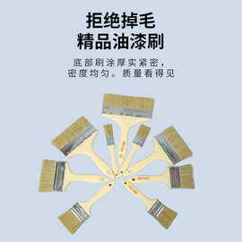 油漆刷棕毛刷塑料柄加厚加密毛刷不一掉毛不上霉厂家批发